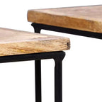 Table basse Bois de manguier Bois de manguier massif, Fer Modulaire moyen